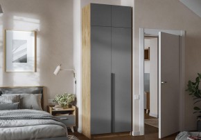 Шкаф платяной Широн в Приобье - priobie.ok-mebel.com | фото 4