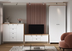 Шкаф платяной Теодора в Приобье - priobie.ok-mebel.com | фото 4