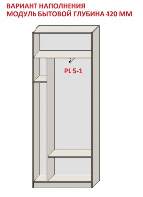 Шкаф распашной серия «ЗЕВС» (PL3/С1/PL2) в Приобье - priobie.ok-mebel.com | фото 4