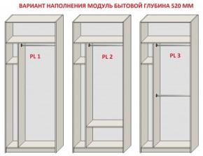 Шкаф распашной серия «ЗЕВС» (PL3/С1/PL2) в Приобье - priobie.ok-mebel.com | фото 5