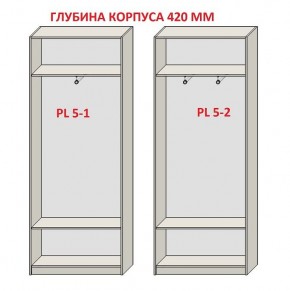 Шкаф распашной серия «ЗЕВС» (PL3/С1/PL2) в Приобье - priobie.ok-mebel.com | фото 8