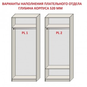 Шкаф распашной серия «ЗЕВС» (PL3/С1/PL2) в Приобье - priobie.ok-mebel.com | фото 9