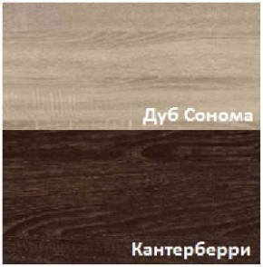 Стенка Рио в Приобье - priobie.ok-mebel.com | фото 6