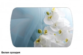 Стол Бостон-2 (1100*700) опоры Брифинг в Приобье - priobie.ok-mebel.com | фото 3