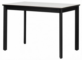 Стол обеденный Айлин 2Р в Приобье - priobie.ok-mebel.com | фото