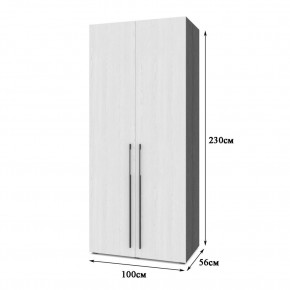 СТОУН С21 Шкаф 2-х створчатый (дуб золотой/графит) в Приобье - priobie.ok-mebel.com | фото 2