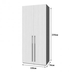 СТОУН С22 Шкаф 2-х створчатый (серый дуб/белый) в Приобье - priobie.ok-mebel.com | фото 2
