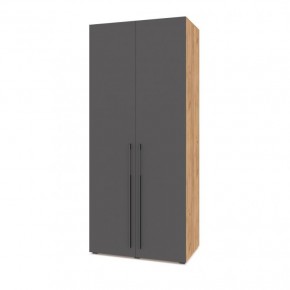 СТОУН С22 Шкаф 2-х створчатый (золотой дуб/графит) в Приобье - priobie.ok-mebel.com | фото