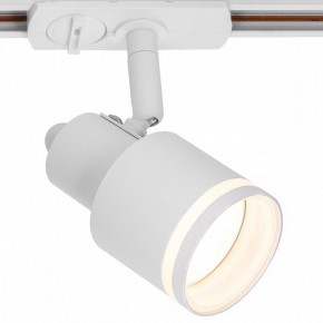 Светильник на штанге Citilux Bruno CL565T10 в Приобье - priobie.ok-mebel.com | фото 2