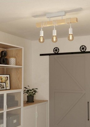 Светильник на штанге Eglo TOWNSHEND 44082 в Приобье - priobie.ok-mebel.com | фото 2