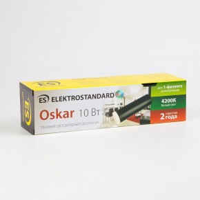 Светильник на штанге Elektrostandard Oskar a040964 в Приобье - priobie.ok-mebel.com | фото 4