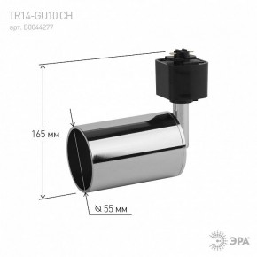 Светильник на штанге Эра  TR14-GU10 CH в Приобье - priobie.ok-mebel.com | фото 4