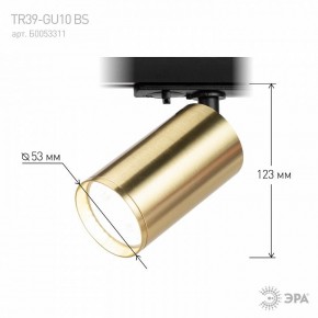 Светильник на штанге Эра  TR39-GU10 BS в Приобье - priobie.ok-mebel.com | фото 6