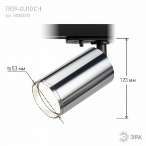 Светильник на штанге Эра  TR39-GU10 СН в Приобье - priobie.ok-mebel.com | фото 7