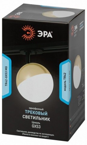Светильник на штанге Эра  TR42-GX53 MG в Приобье - priobie.ok-mebel.com | фото 6