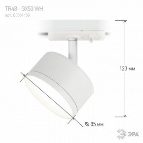 Светильник на штанге Эра  TR48 - GX53 WH в Приобье - priobie.ok-mebel.com | фото 4