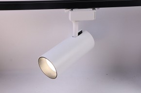 Светильник на штанге Эра  TR5-30 COB WH в Приобье - priobie.ok-mebel.com | фото 2