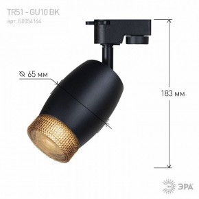 Светильник на штанге Эра  TR51 - GU10 BK в Приобье - priobie.ok-mebel.com | фото 4