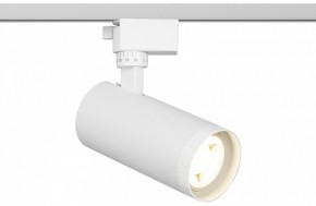 Светильник на штанге Эра  TR59 - 2040 WH в Приобье - priobie.ok-mebel.com | фото