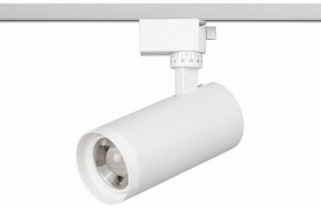 Светильник на штанге Эра  TR59 - 2040 WH в Приобье - priobie.ok-mebel.com | фото 2
