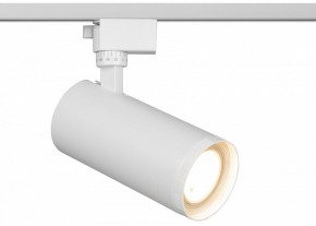 Светильник на штанге Эра  TR59 - 3030 WH в Приобье - priobie.ok-mebel.com | фото