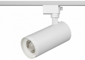 Светильник на штанге Эра  TR59 - 3030 WH в Приобье - priobie.ok-mebel.com | фото 2