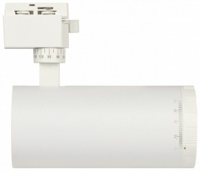 Светильник на штанге Эра  TR59 - 3030 WH в Приобье - priobie.ok-mebel.com | фото 4