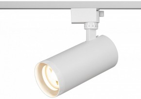Светильник на штанге Эра  TR59 - 3030 WH в Приобье - priobie.ok-mebel.com | фото 5