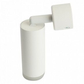 Светильник на штанге Feron ML1021 51390 в Приобье - priobie.ok-mebel.com | фото 3