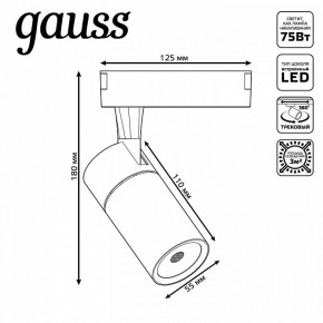 Светильник на штанге Gauss Track Light TR060 в Приобье - priobie.ok-mebel.com | фото 5
