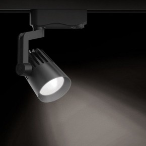 Светильник на штанге Gauss Track Light TR061 в Приобье - priobie.ok-mebel.com | фото 2