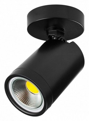 Светильник на штанге Lightstar Rullo 213407 в Приобье - priobie.ok-mebel.com | фото