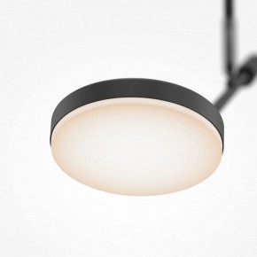 Светильник на штанге Maytoni Fad MOD070CL-L8B3K в Приобье - priobie.ok-mebel.com | фото 4