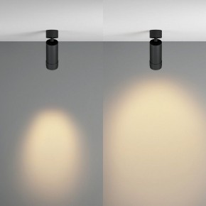 Светильник на штанге Maytoni Focus Zoom C055CL-L12W2.7K-Z-B в Приобье - priobie.ok-mebel.com | фото 3