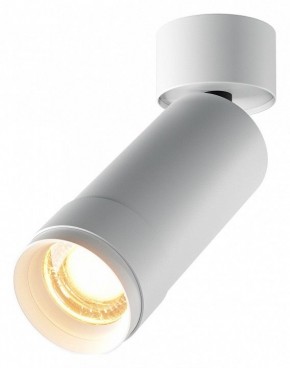 Светильник на штанге Maytoni Focus Zoom C055CL-L12W2.7K-Z-W в Приобье - priobie.ok-mebel.com | фото
