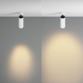 Светильник на штанге Maytoni Focus Zoom C055CL-L12W2.7K-Z-W в Приобье - priobie.ok-mebel.com | фото 3