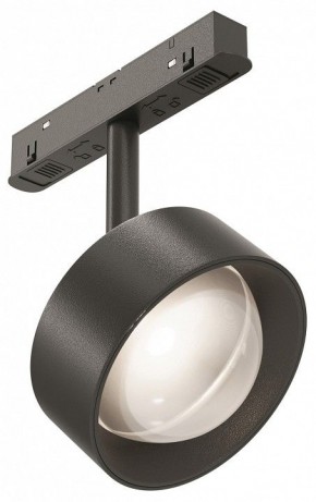 Светильник на штанге Maytoni Lens TR217-2-15W4K-B в Приобье - priobie.ok-mebel.com | фото