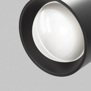 Светильник на штанге Maytoni Lens TR217-2-15W4K-B в Приобье - priobie.ok-mebel.com | фото 10