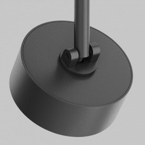 Светильник на штанге Maytoni Lens TR217-2-15W4K-B в Приобье - priobie.ok-mebel.com | фото 9