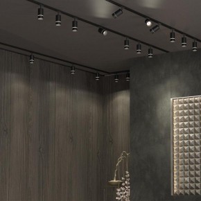 Светильник на штанге Novotech Elina 370777 в Приобье - priobie.ok-mebel.com | фото 4