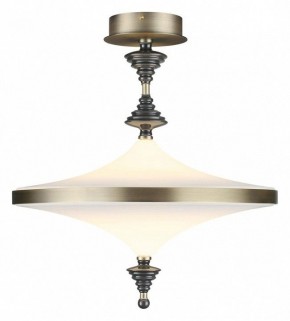 Светильник на штанге Odeon Light Ula 5404/43CL в Приобье - priobie.ok-mebel.com | фото 2