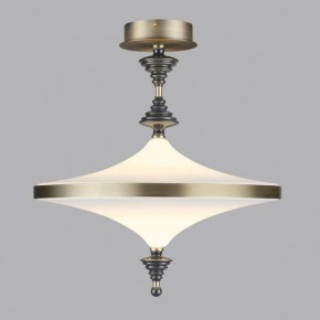 Светильник на штанге Odeon Light Ula 5404/43CL в Приобье - priobie.ok-mebel.com | фото 3