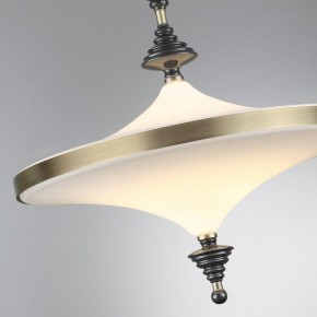 Светильник на штанге Odeon Light Ula 5404/43CL в Приобье - priobie.ok-mebel.com | фото 6