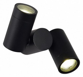 Светильник на штанге ST-Luce Ecollo SL9011.402.02 в Приобье - priobie.ok-mebel.com | фото 2