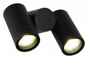 Светильник на штанге ST-Luce Ecollo SL9011.402.02 в Приобье - priobie.ok-mebel.com | фото 3