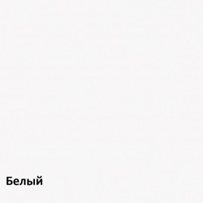 Торонто Шкаф для одежды 13.333 в Приобье - priobie.ok-mebel.com | фото 3