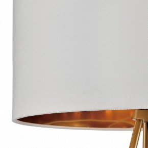 Торшер Lumion Tapioka 8077/1F в Приобье - priobie.ok-mebel.com | фото 6