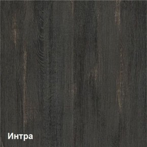 Трувор Шкаф 13.204 в Приобье - priobie.ok-mebel.com | фото 3