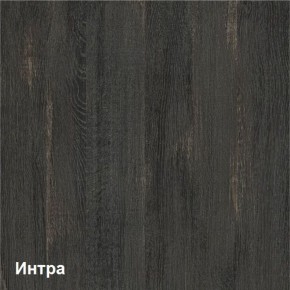 Трувор Шкаф-стеллаж 13.206 в Приобье - priobie.ok-mebel.com | фото 4
