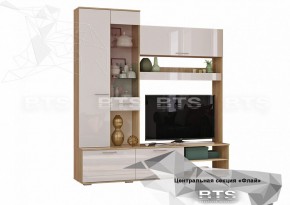 ФЛАЙ Центральная секция ЦС-01 (дуб сонома/белый) в Приобье - priobie.ok-mebel.com | фото 2